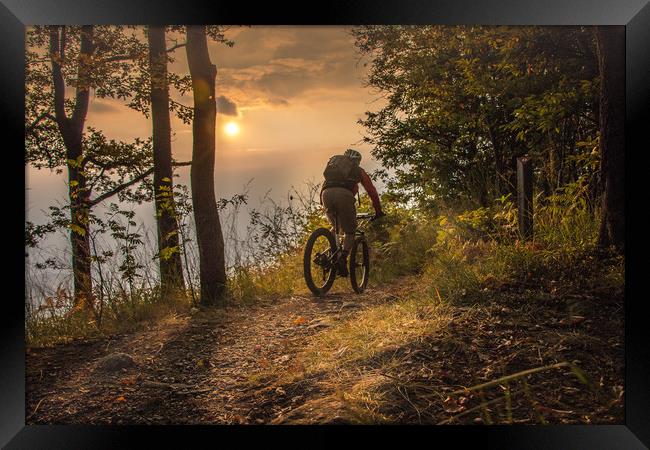 Mountain biking till the sunset Framed Print by Fabrizio Malisan