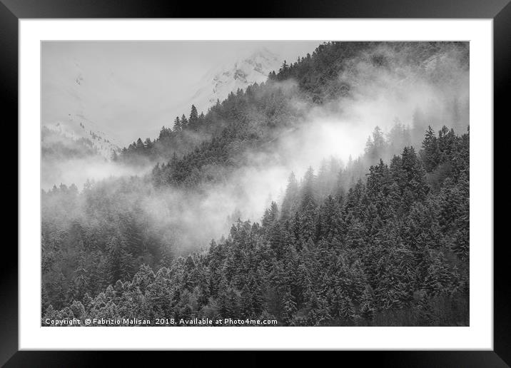 Early Morning in the Woods Framed Mounted Print by Fabrizio Malisan