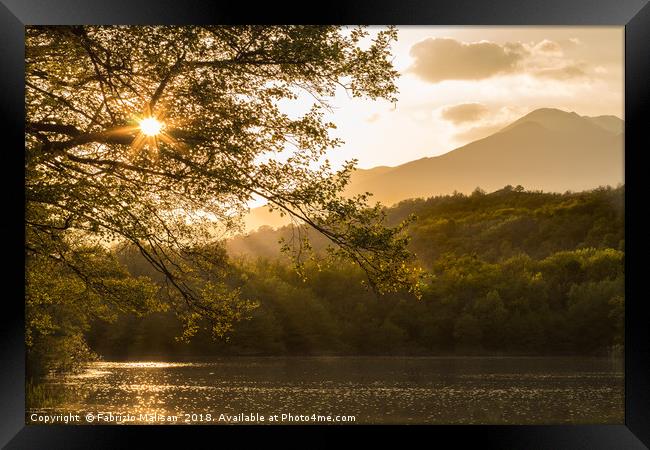 Sunset through the trees over the lake- Framed Print by Fabrizio Malisan