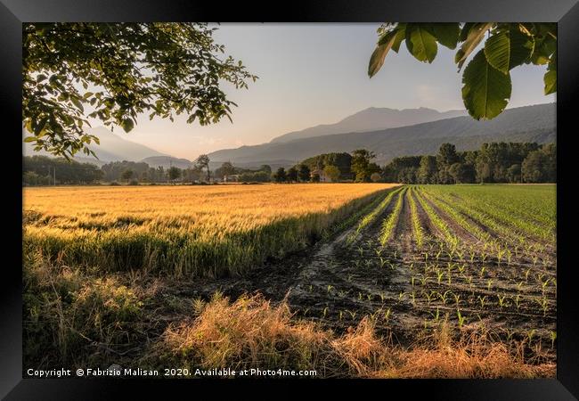 Sunset Light Over The Fields - Fabulous Outdoors @ Framed Print by Fabrizio Malisan