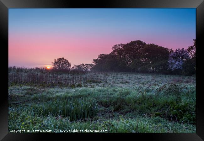 Mist over the Marsh Framed Print by Scott & Scott