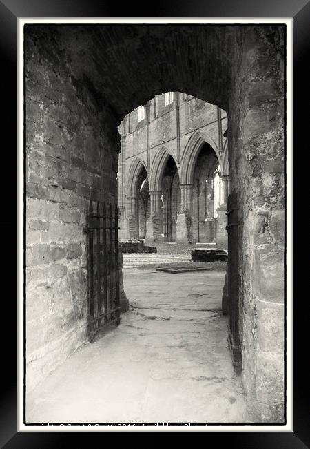 Monastic ruin Framed Print by Scott & Scott