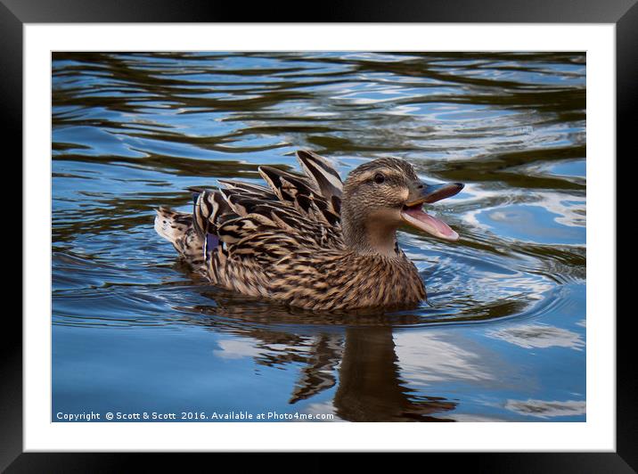 Spirit Framed Mounted Print by Scott & Scott