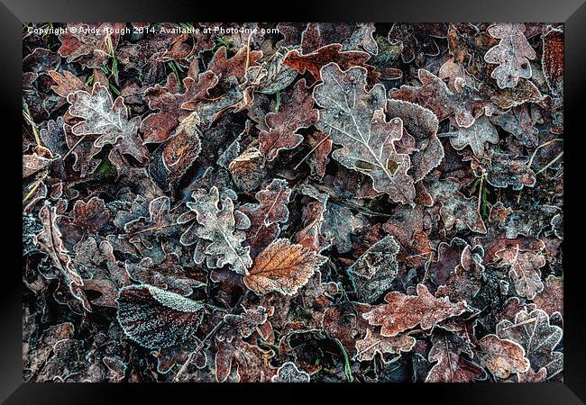  Frosted Autumn Leaves Framed Print by Andy Hough