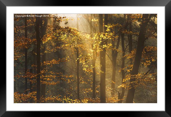  Golden rays lift autumn hues Framed Mounted Print by Andy Hough