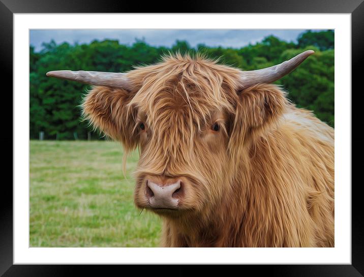  Highland Cow Framed Mounted Print by Tanya Hall