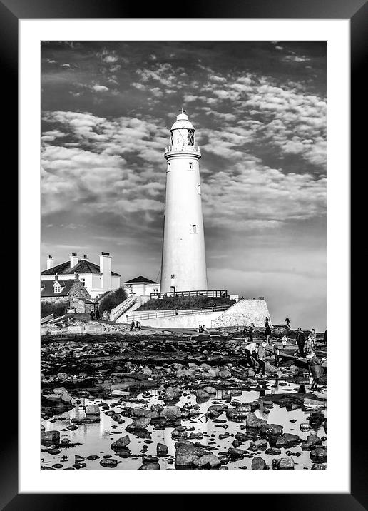 St. Mary's Lighthouse Framed Mounted Print by Tanya Hall