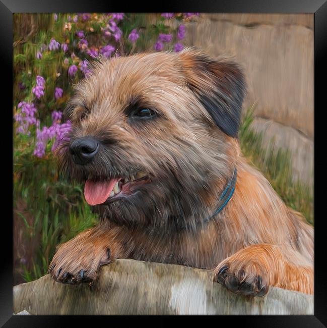  Oil Painted Border Terrier Dog With Heather Flowe Framed Print by Tanya Hall