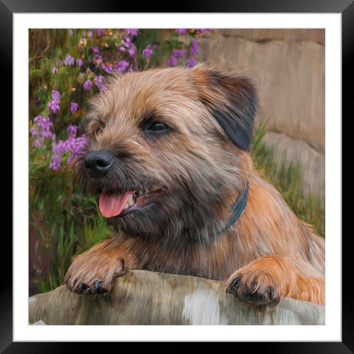  Oil Painted Border Terrier Dog With Heather Flowe Framed Mounted Print by Tanya Hall