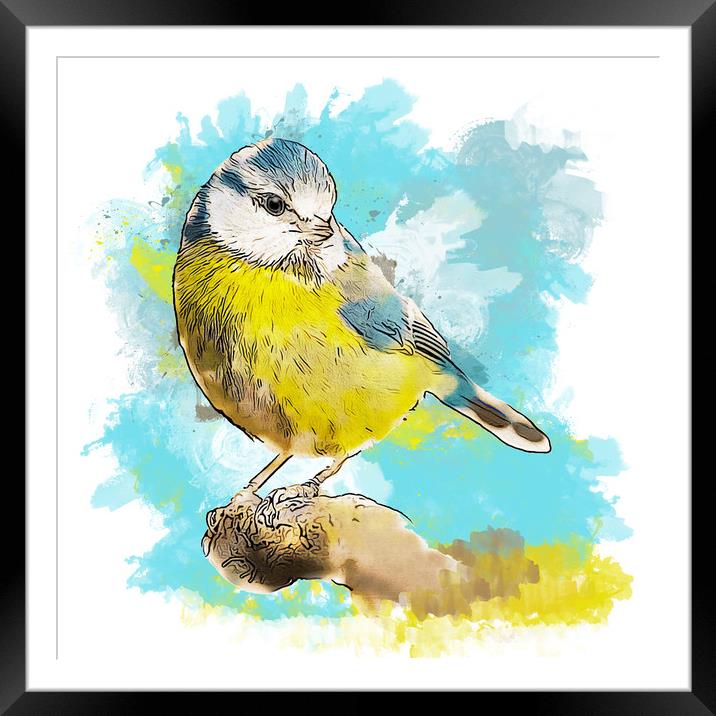 Blue Tit Bird Framed Mounted Print by Tanya Hall