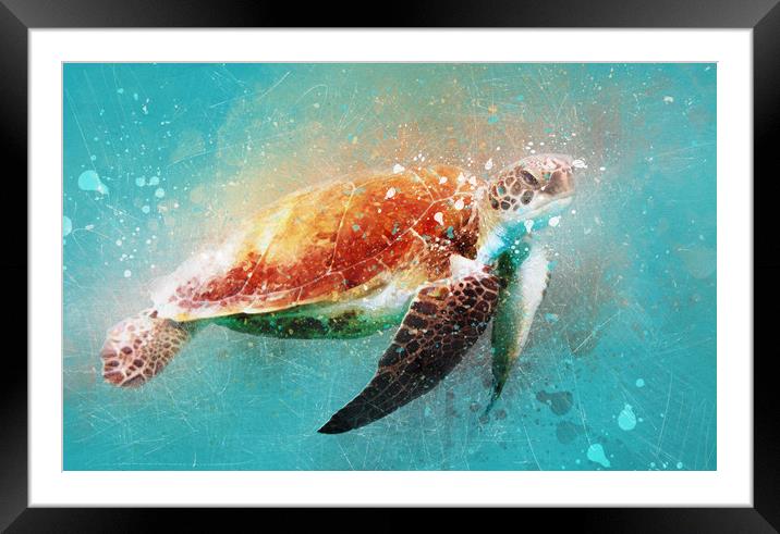 Turtle Watercolor Digital with sketching Framed Mounted Print by Tanya Hall