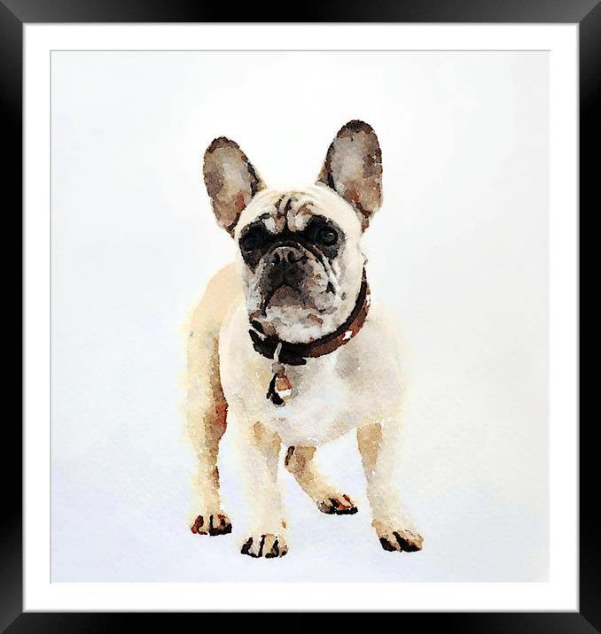 French Bulldog Print Framed Mounted Print by Tanya Hall