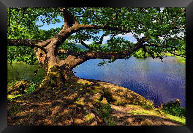  Rydal Water Cumbria Framed Print by Graham Hawcroft