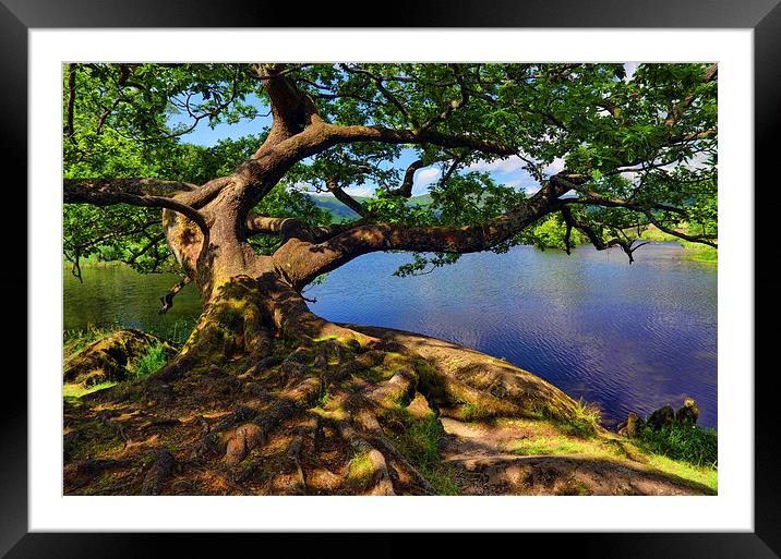  Rydal Water Cumbria Framed Mounted Print by Graham Hawcroft