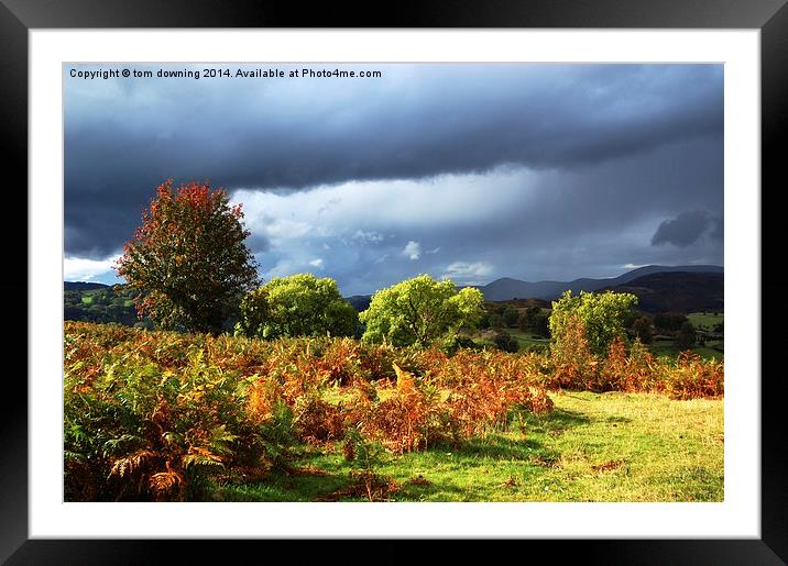  Black Clouds of Autumn glow Framed Mounted Print by tom downing