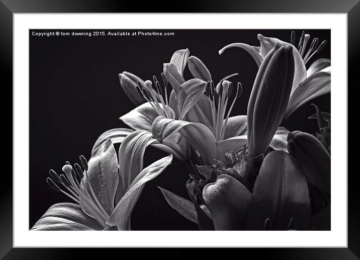  Floral display B&W Framed Mounted Print by tom downing