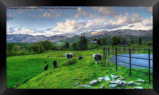  Cumbrian Fell Framed Print by tom downing