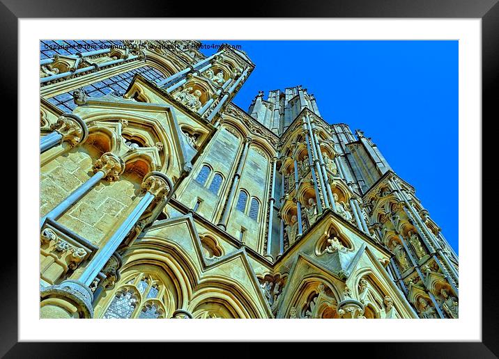  Wells Cathedral  Framed Mounted Print by tom downing