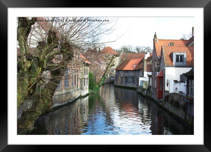 Canal in Brugge Framed Mounted Print by tom downing