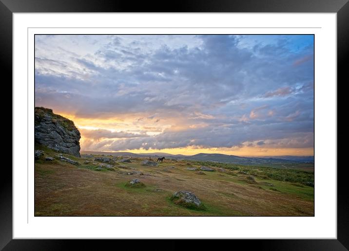 Wild horse of Dartmoor Framed Mounted Print by tom downing