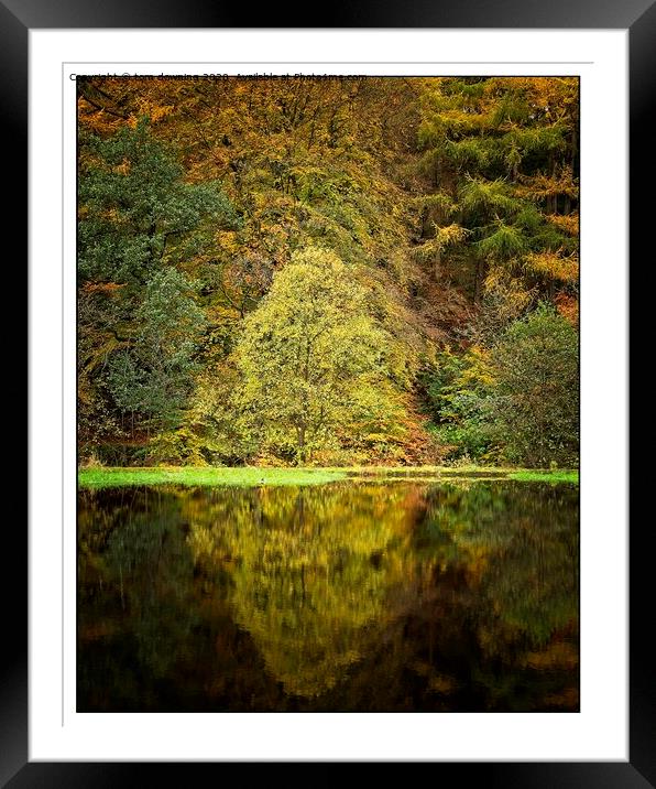 Colourful Autumn Framed Mounted Print by tom downing