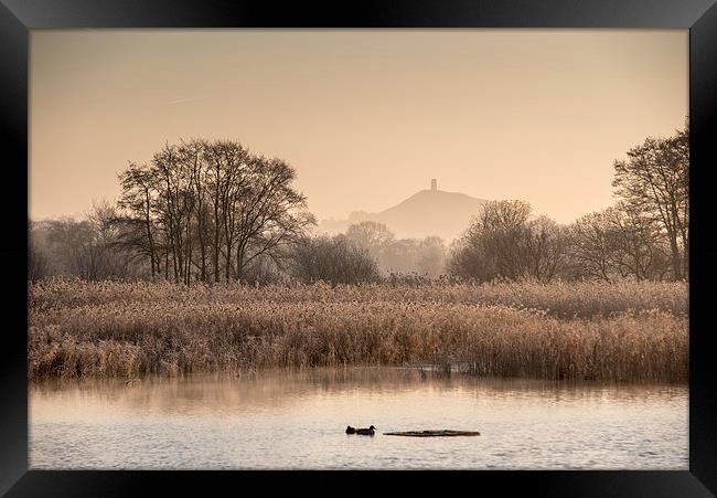  Somerset Levels on a Frosty Morning Framed Print by Bob Small