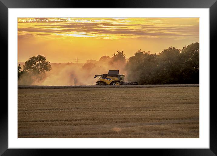 Combine at sunset Framed Mounted Print by Tina Fry