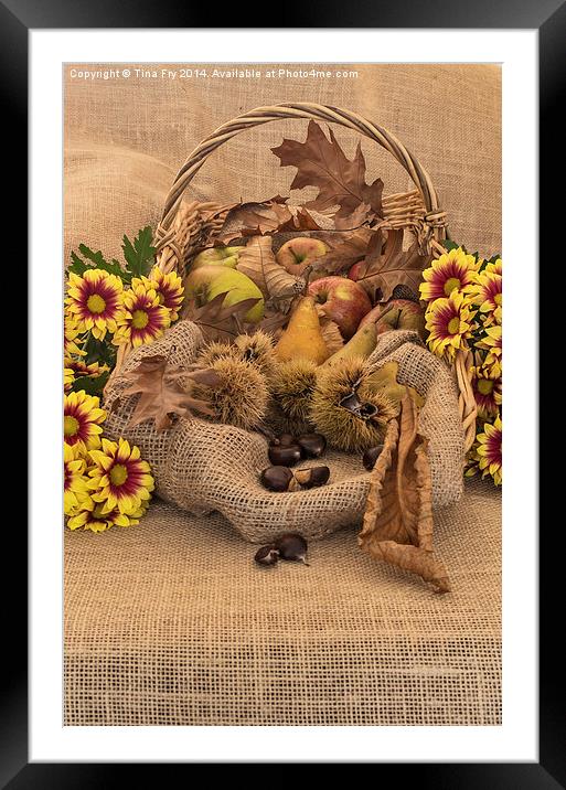  Autumn in a Basket Framed Mounted Print by Tina Fry