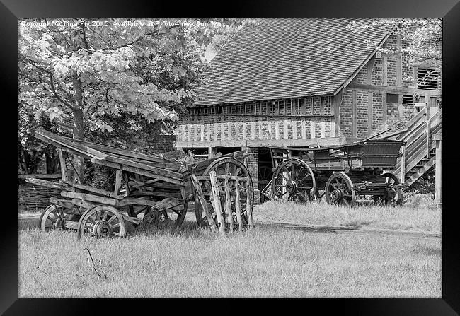 Old farm Wagons  Framed Print by Tina Fry