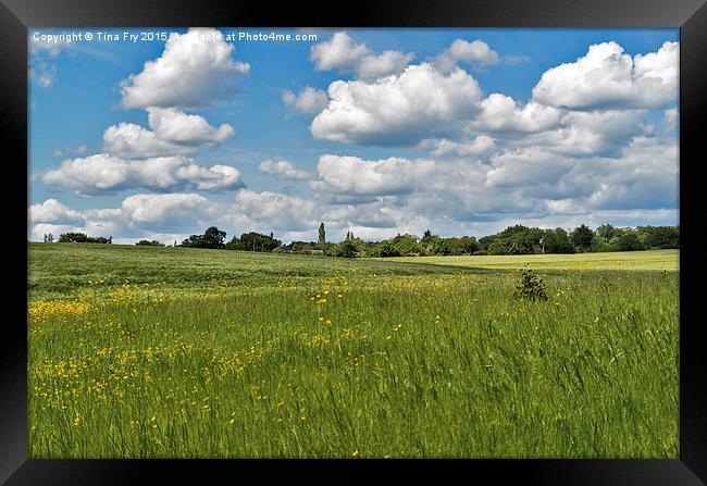  A stroll in the country Framed Print by Tina Fry