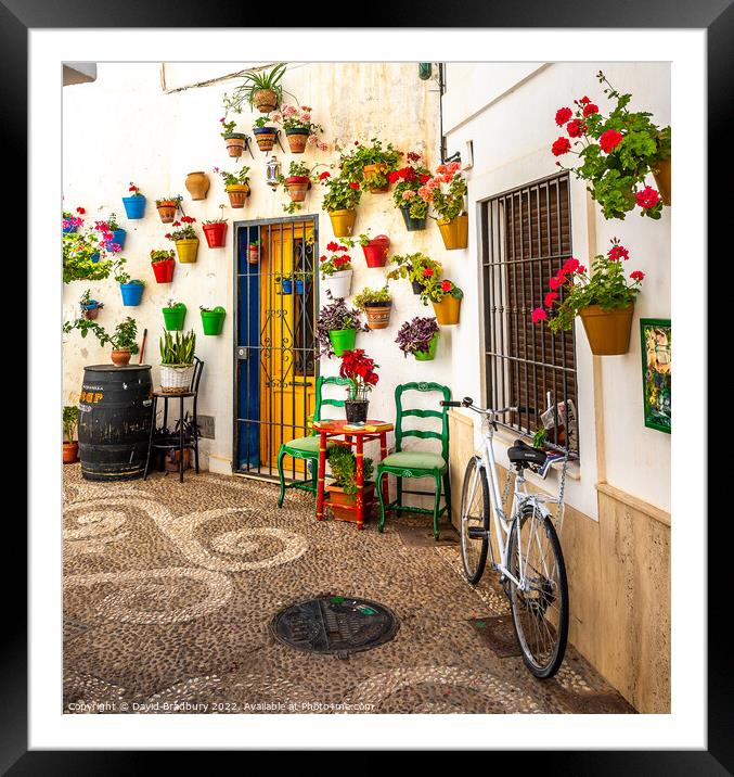 Doorway in Nerja, Spain Framed Mounted Print by David Bradbury