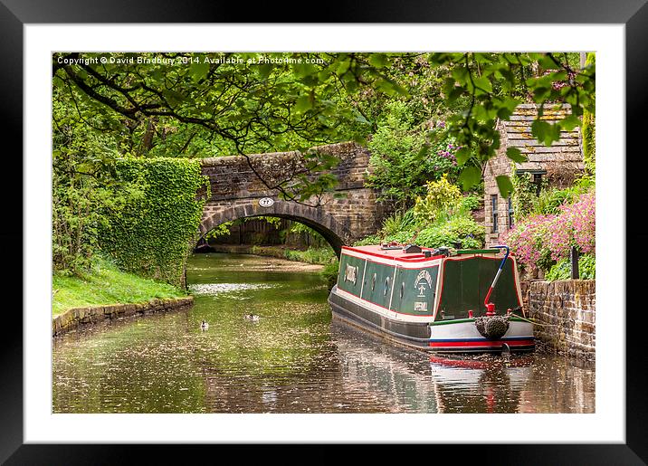 By the Canal Bridge Framed Mounted Print by David Bradbury