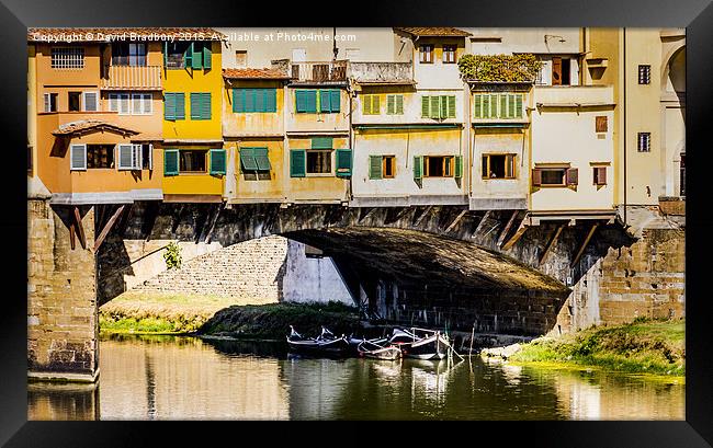  Under the Ponte Vecchio Framed Print by David Bradbury