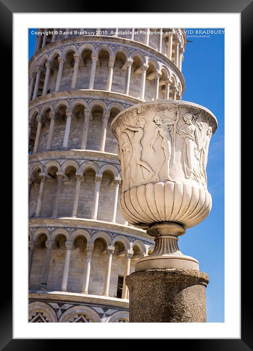  Pisa Urn Framed Mounted Print by David Bradbury