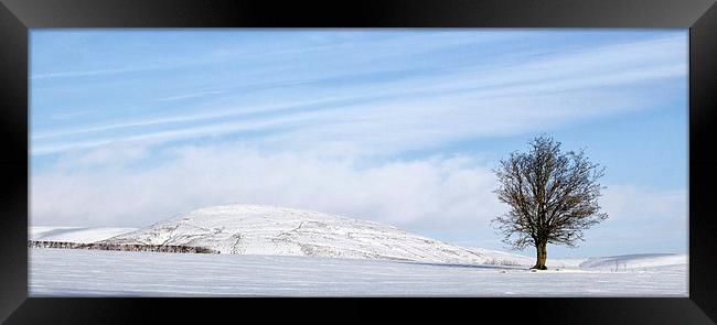  Standing strong Framed Print by Lee Sutton