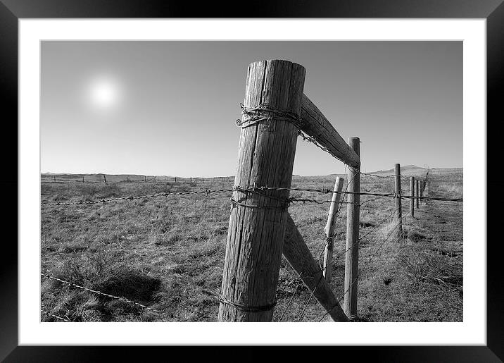  The Fenceline Framed Mounted Print by Brian Ewing