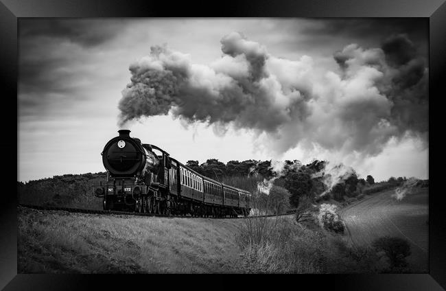 All Aboard!! Framed Print by Tim Smith