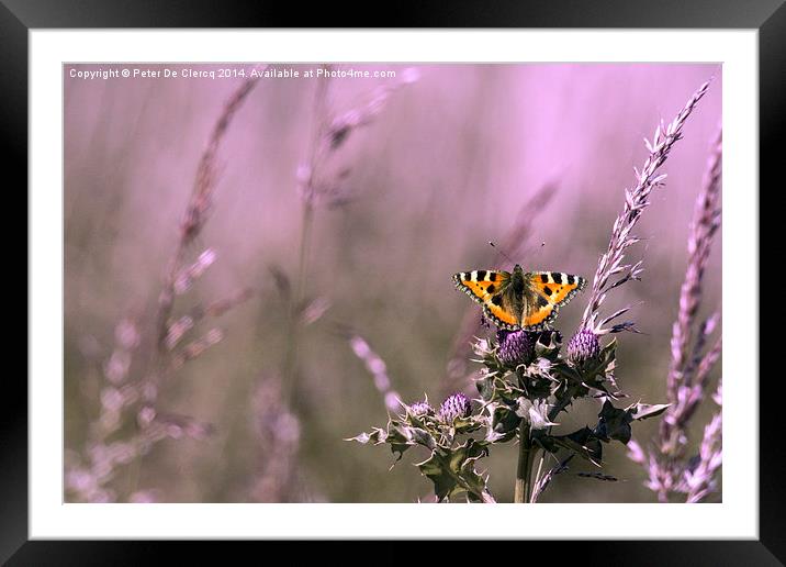 Butterfly Framed Mounted Print by Peter De Clercq