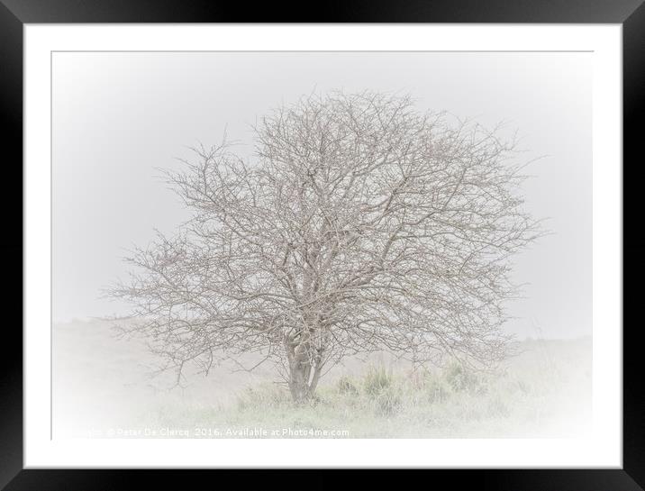 Lone Tree Framed Mounted Print by Peter De Clercq