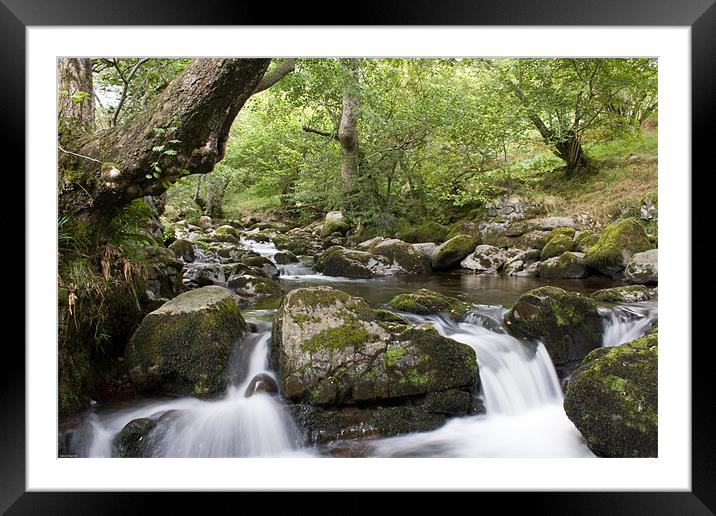 Woodland Falls Framed Mounted Print by Kevin Baxter