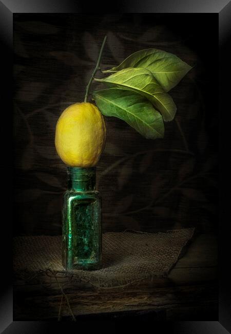 Lemon Squeezy Framed Print by Garry Quinn
