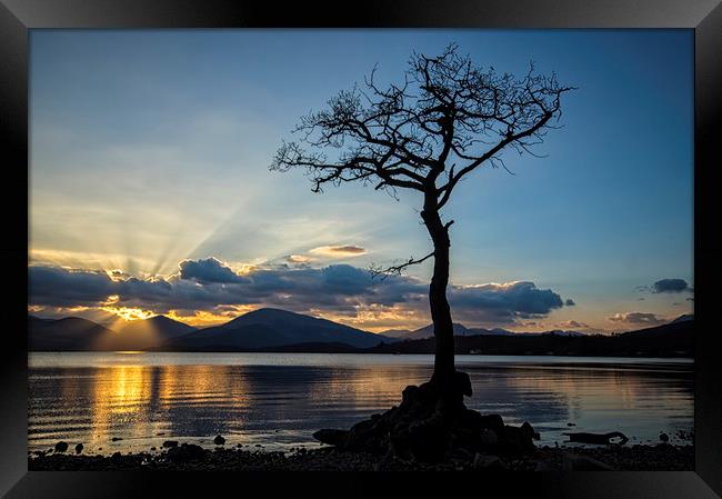 Lomond Gold Framed Print by Garry Quinn