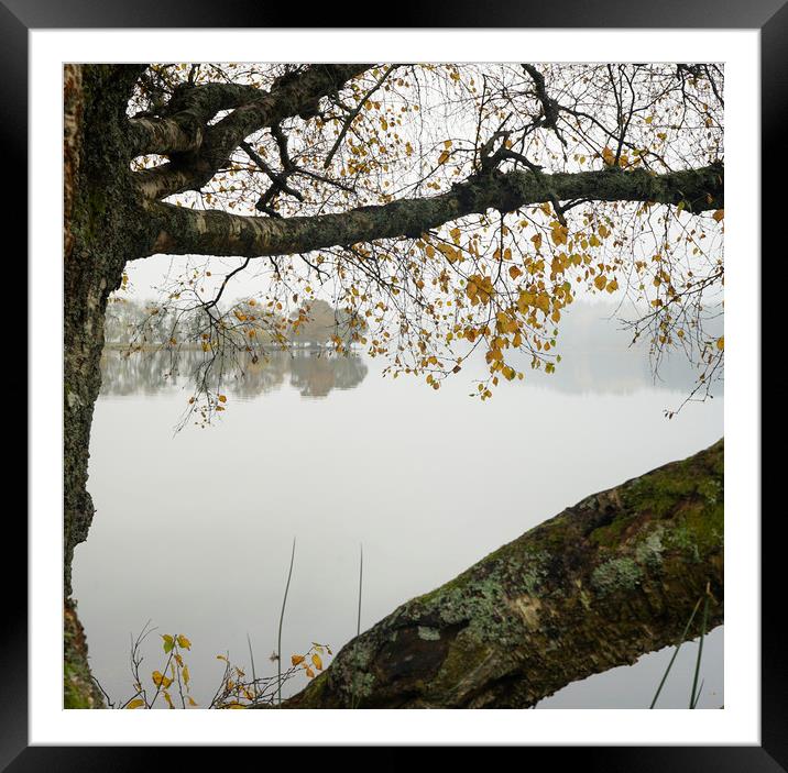 Framed Loch Ard view Framed Mounted Print by Garry Quinn