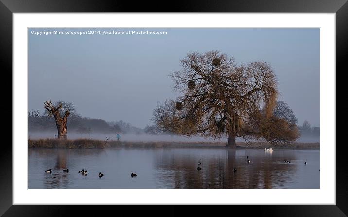  running through the mist Framed Mounted Print by mike cooper