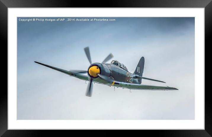  Hawker Sea Fury T20 Two Seat , Yeovilton 2014 Framed Mounted Print by Philip Hodges aFIAP ,