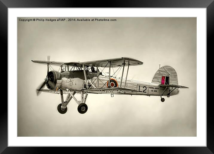  Fairey Swordfish Framed Mounted Print by Philip Hodges aFIAP ,