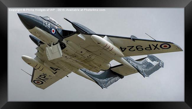 de Havilland Sea Vixen XP924 " Foxy Lady" B Framed Print by Philip Hodges aFIAP ,