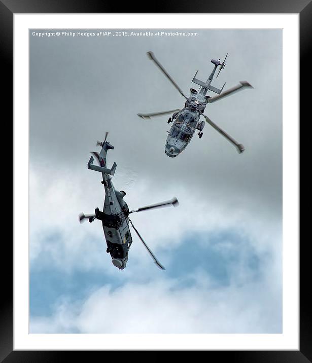 Agusta Westland Lynx Wildcat &quot; The Black Cats Framed Mounted Print by Philip Hodges aFIAP ,
