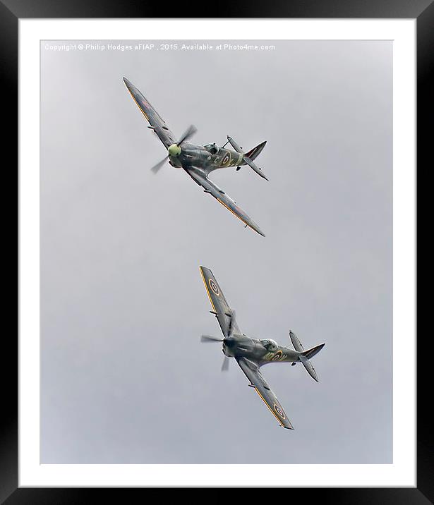A pair of Spitfires from the BBMF  Framed Mounted Print by Philip Hodges aFIAP ,