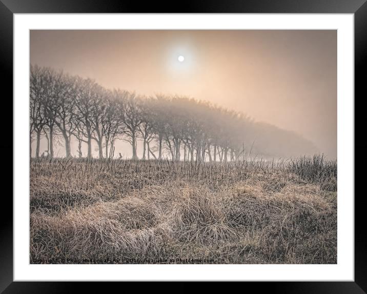 Exmoor Frost and Mist Framed Mounted Print by Philip Hodges aFIAP ,